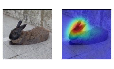 The Implementation of the RISE Algorithm for the Captum Framework